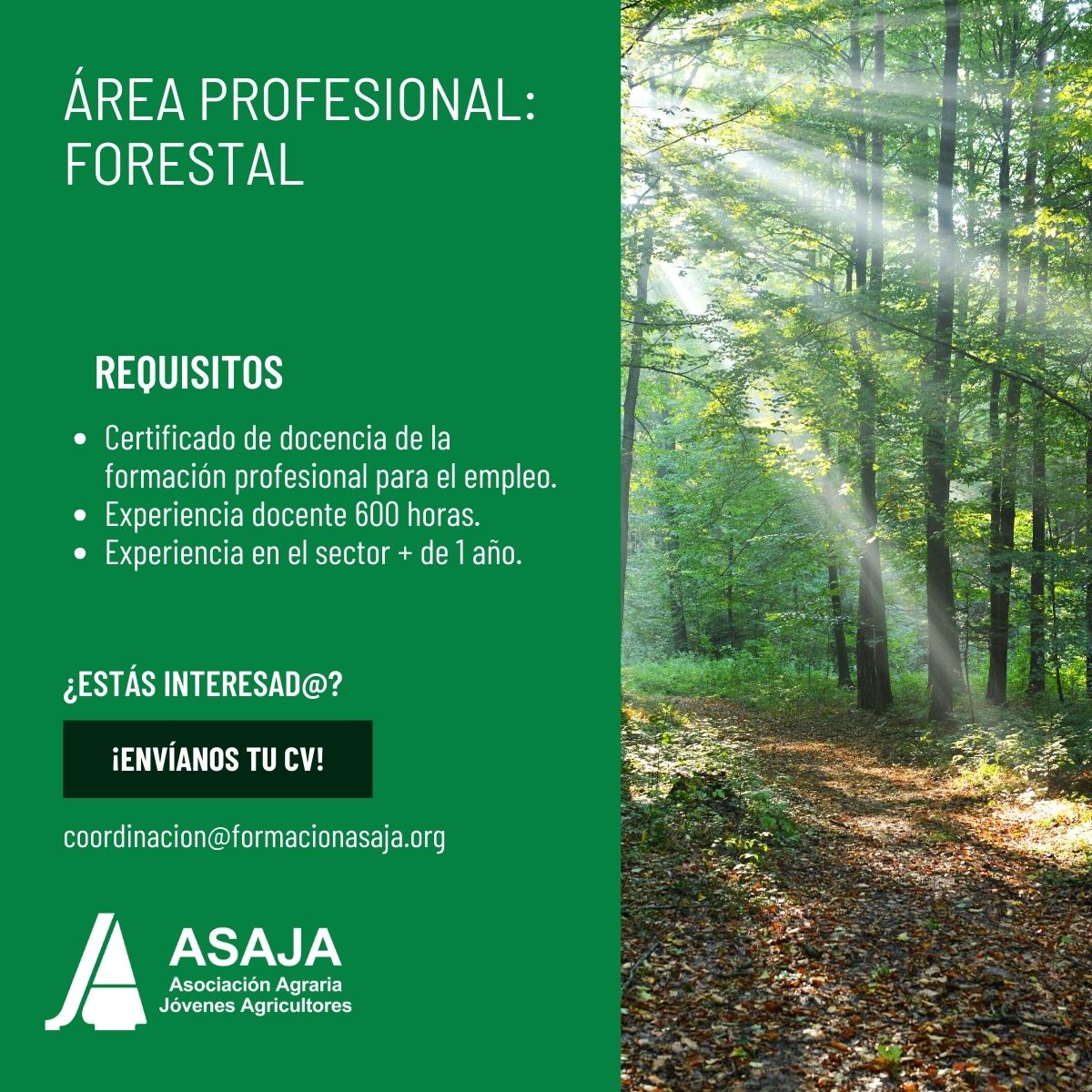 AREA PROFESIONAL_ FORESTAL